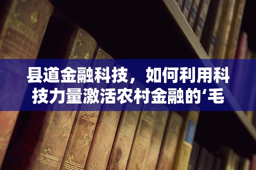 县道金融科技，如何利用科技力量激活农村金融的‘毛细血管’？