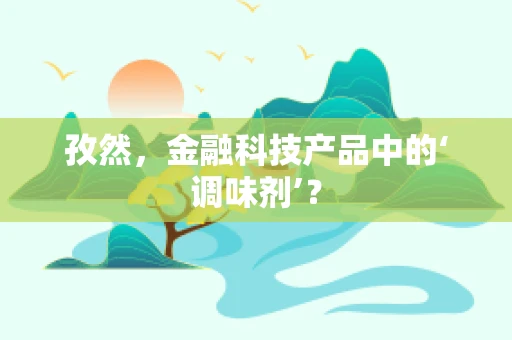 孜然，金融科技产品中的‘调味剂’？