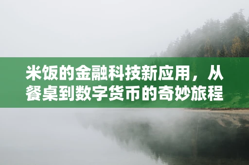 米饭的金融科技新应用，从餐桌到数字货币的奇妙旅程