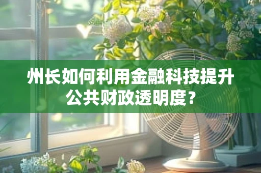 州长如何利用金融科技提升公共财政透明度？