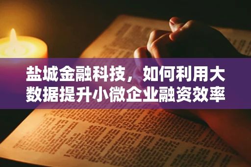 盐城金融科技，如何利用大数据提升小微企业融资效率？