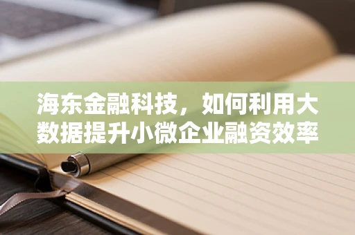 海东金融科技，如何利用大数据提升小微企业融资效率？