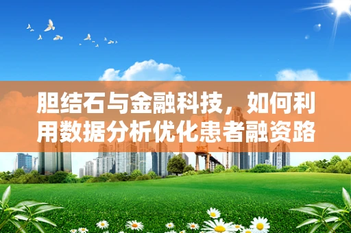 胆结石与金融科技，如何利用数据分析优化患者融资路径？