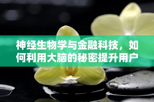 神经生物学与金融科技，如何利用大脑的秘密提升用户体验？