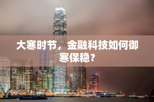 大寒时节，金融科技如何御寒保稳？