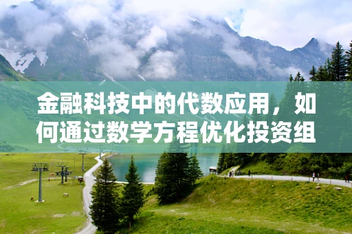 金融科技中的代数应用，如何通过数学方程优化投资组合？