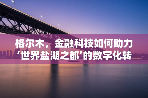格尔木，金融科技如何助力‘世界盐湖之都’的数字化转型？