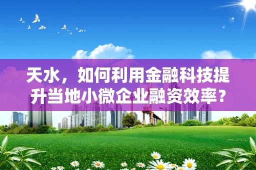 天水，如何利用金融科技提升当地小微企业融资效率？