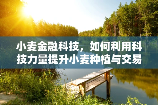小麦金融科技，如何利用科技力量提升小麦种植与交易的效率？