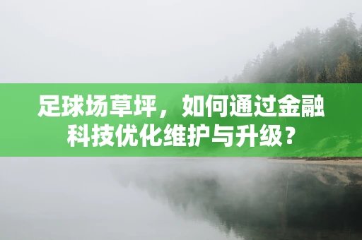 足球场草坪，如何通过金融科技优化维护与升级？
