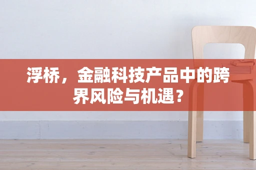 浮桥，金融科技产品中的跨界风险与机遇？