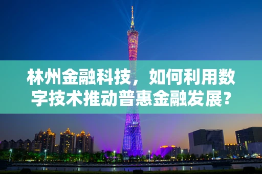 林州金融科技，如何利用数字技术推动普惠金融发展？