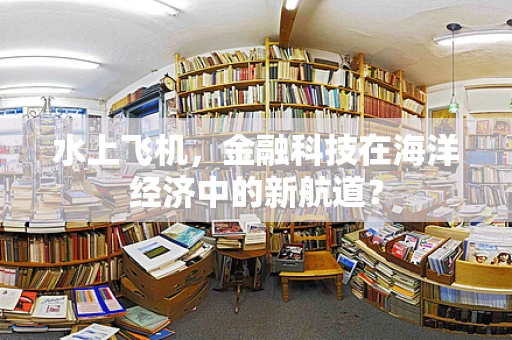 水上飞机，金融科技在海洋经济中的新航道？