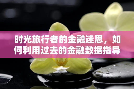 时光旅行者的金融迷思，如何利用过去的金融数据指导未来的投资决策？