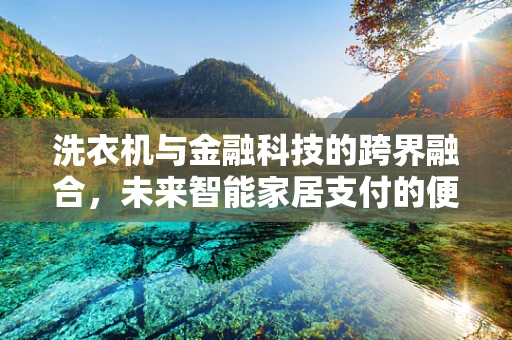 洗衣机与金融科技的跨界融合，未来智能家居支付的便捷性挑战