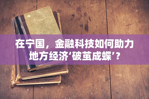 在宁国，金融科技如何助力地方经济‘破茧成蝶’？