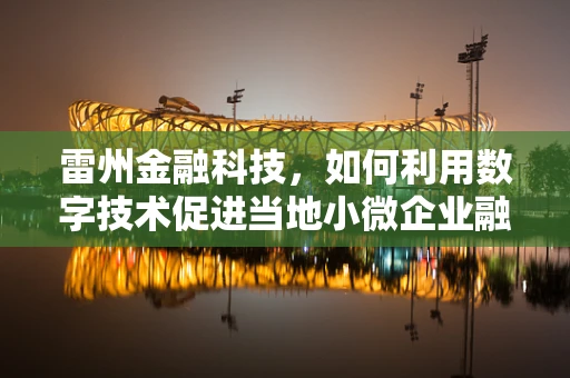 雷州金融科技，如何利用数字技术促进当地小微企业融资？