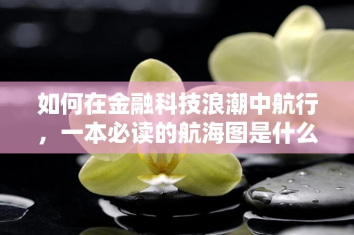 如何在金融科技浪潮中航行，一本必读的航海图是什么？
