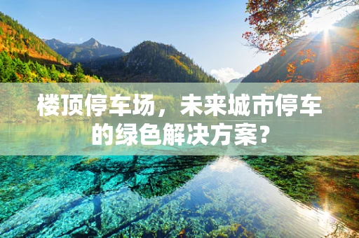楼顶停车场，未来城市停车的绿色解决方案？