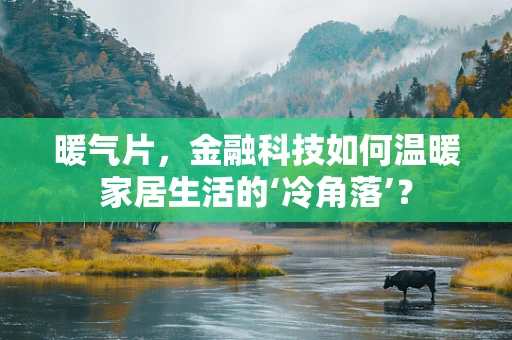 暖气片，金融科技如何温暖家居生活的‘冷角落’？