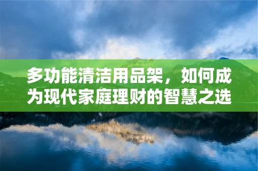 多功能清洁用品架，如何成为现代家庭理财的智慧之选？