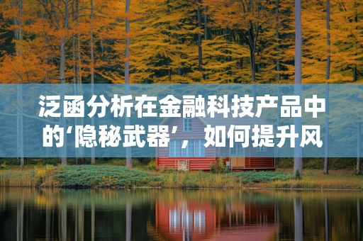 泛函分析在金融科技产品中的‘隐秘武器’，如何提升风险评估的精准度？