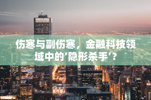 伤寒与副伤寒，金融科技领域中的‘隐形杀手’？