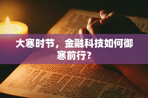 大寒时节，金融科技如何御寒前行？