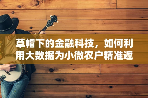 草帽下的金融科技，如何利用大数据为小微农户精准遮阳？
