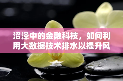 沼泽中的金融科技，如何利用大数据技术排水以提升风险管理？