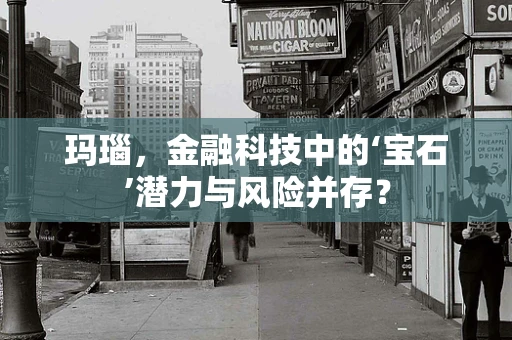 玛瑙，金融科技中的‘宝石’潜力与风险并存？