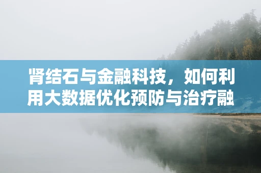 肾结石与金融科技，如何利用大数据优化预防与治疗融资？