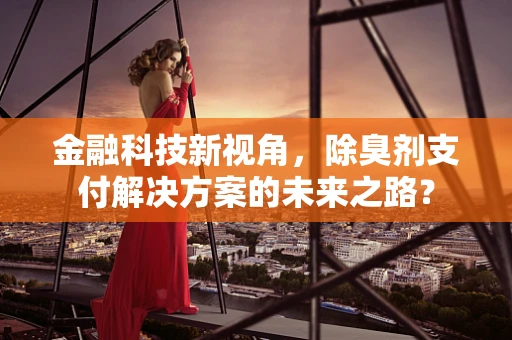 金融科技新视角，除臭剂支付解决方案的未来之路？