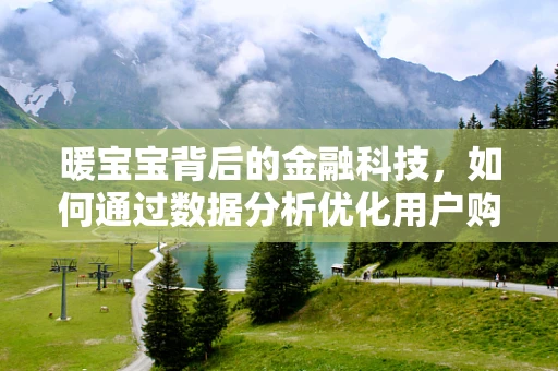 暖宝宝背后的金融科技，如何通过数据分析优化用户购买体验？