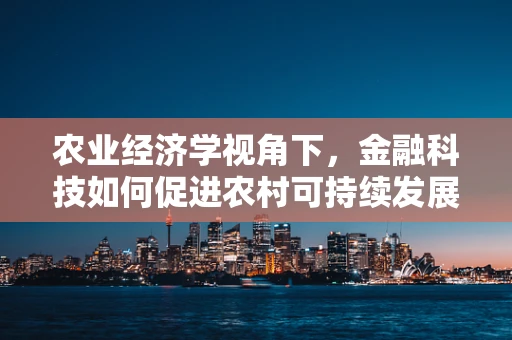 农业经济学视角下，金融科技如何促进农村可持续发展？