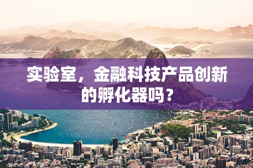 实验室，金融科技产品创新的孵化器吗？