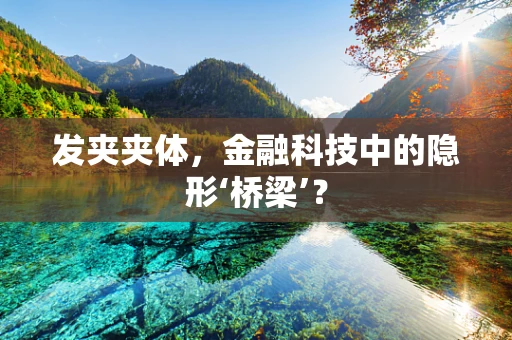 发夹夹体，金融科技中的隐形‘桥梁’？