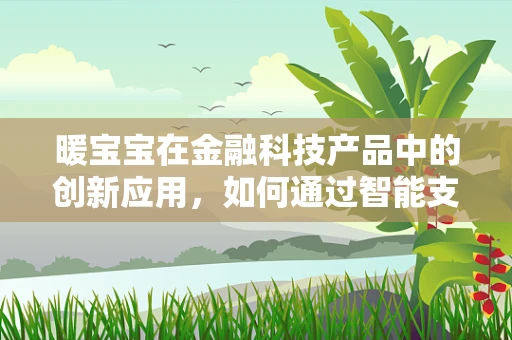 暖宝宝在金融科技产品中的创新应用，如何通过智能支付实现温暖与便捷的双重体验？