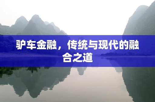 驴车金融，传统与现代的融合之道