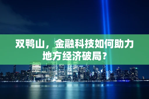 双鸭山，金融科技如何助力地方经济破局？