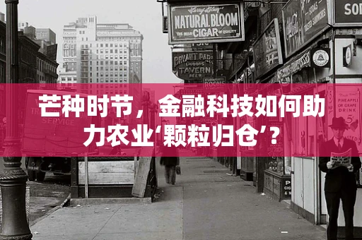 芒种时节，金融科技如何助力农业‘颗粒归仓’？