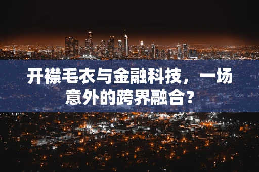 开襟毛衣与金融科技，一场意外的跨界融合？