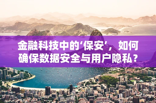 金融科技中的‘保安’，如何确保数据安全与用户隐私？