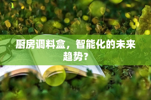 厨房调料盒，智能化的未来趋势？