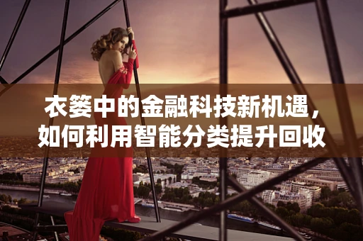 衣篓中的金融科技新机遇，如何利用智能分类提升回收效率？