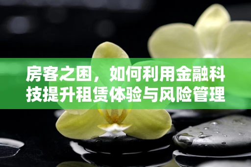 房客之困，如何利用金融科技提升租赁体验与风险管理？