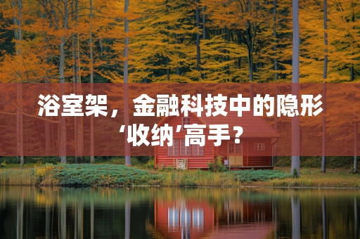 浴室架，金融科技中的隐形‘收纳’高手？