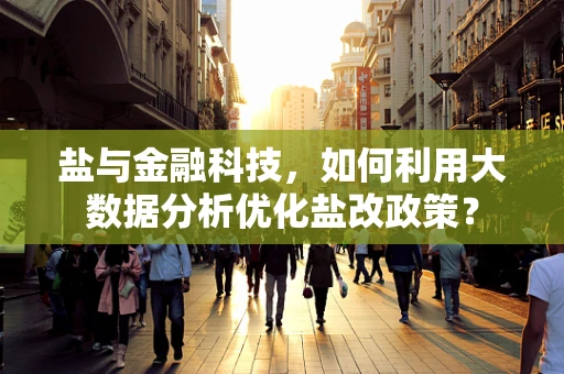 盐与金融科技，如何利用大数据分析优化盐改政策？