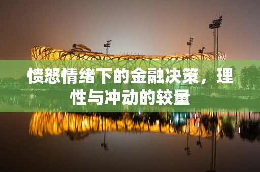 愤怒情绪下的金融决策，理性与冲动的较量
