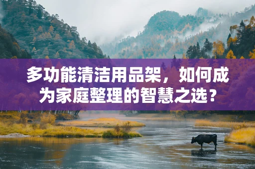 多功能清洁用品架，如何成为家庭整理的智慧之选？
